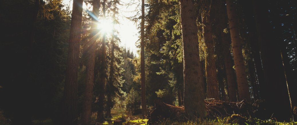 Publicidad para causas sociales